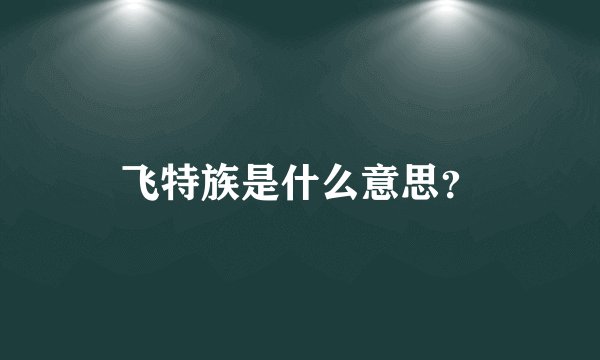 飞特族是什么意思？