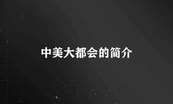 中美大都会的简介