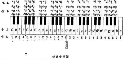 电子琴黑键代表什么