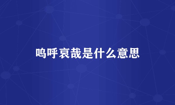 呜呼哀哉是什么意思