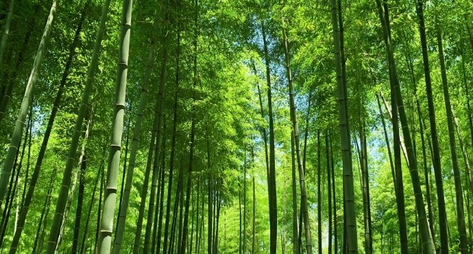 常州有什么好玩的地方旅游景点