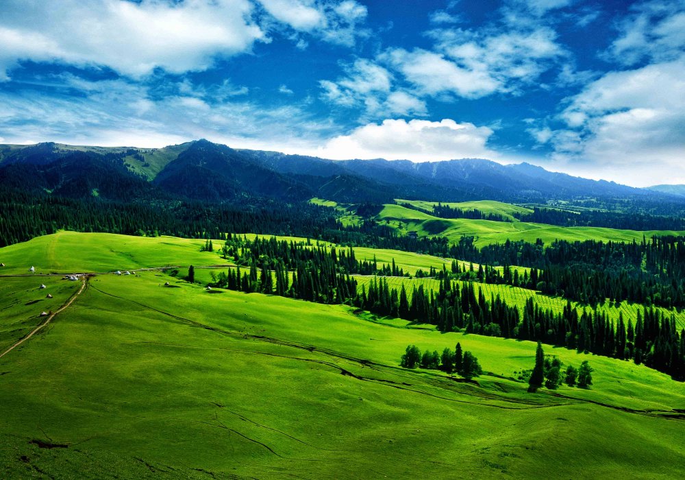 普者黑旅游攻略必去景点