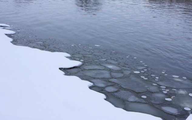 thinner英语怎么读