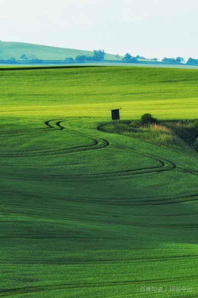 小满的相关农谚