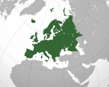 欧洲一共有多少个国家？