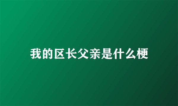 我的区长父亲是什么梗