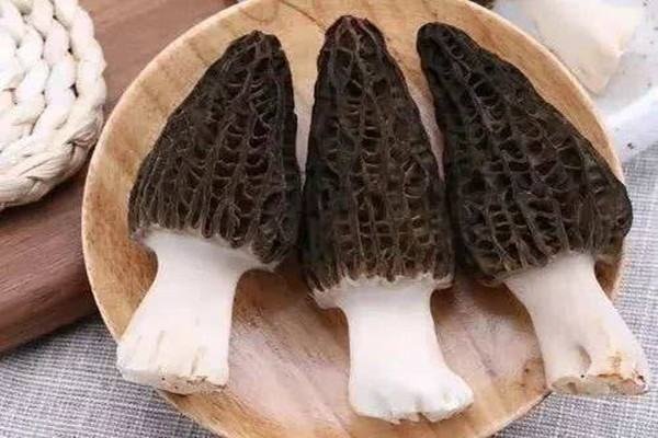 干羊肚菌的食用方法是什么？