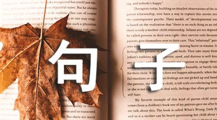 推崇备至的意思和造句