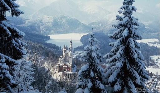 “大雪纷飞何所似”的全诗是什么？