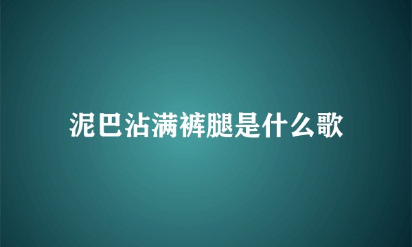 泥巴沾满裤腿是什么歌