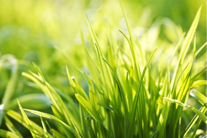 伟岸是什么意思解释