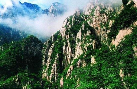 远近高低各不同的上一句是什么？