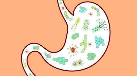 我国超一半人都携带幽门螺杆菌，它对人的身体会带来哪些危害？