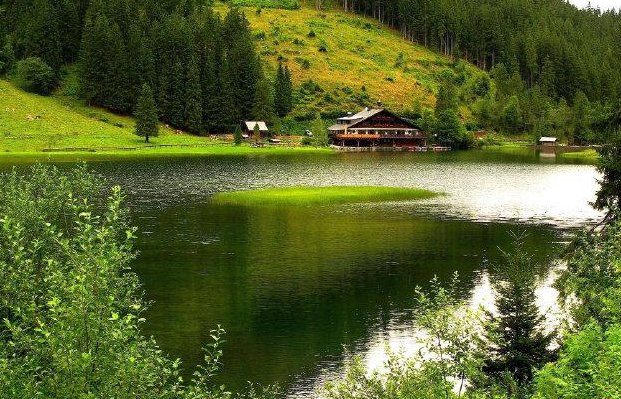 形容绿的词语。