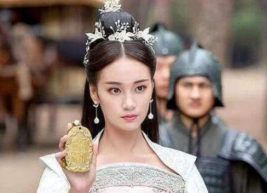 风唳九天电视剧简介