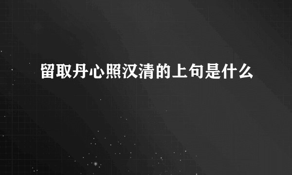 留取丹心照汉清的上句是什么