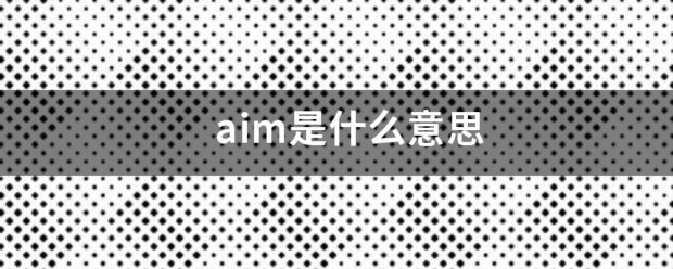 aim是什么意思