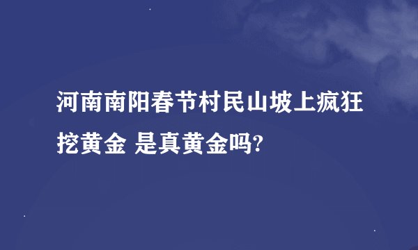 河南南阳春节村民山坡上疯狂挖黄金 是真黄金吗?