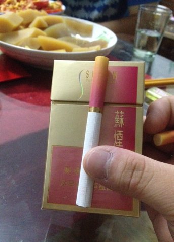 大苏小苏有什么区别