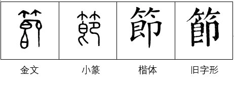 节字是什么结构的？