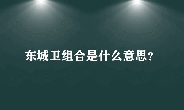 东城卫组合是什么意思？