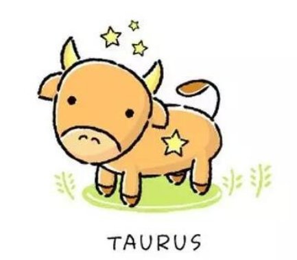 双子男和金牛女甜死人，双子男和金牛女在一起，相处过程会特别幸福吗？