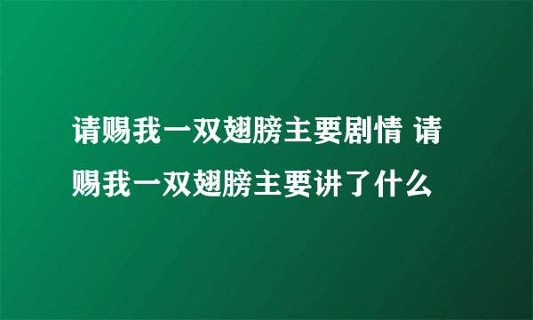 请赐我一双翅膀主要剧情 请赐我一双翅膀主要讲了什么