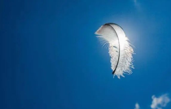 飘浮与漂浮有什么区别?