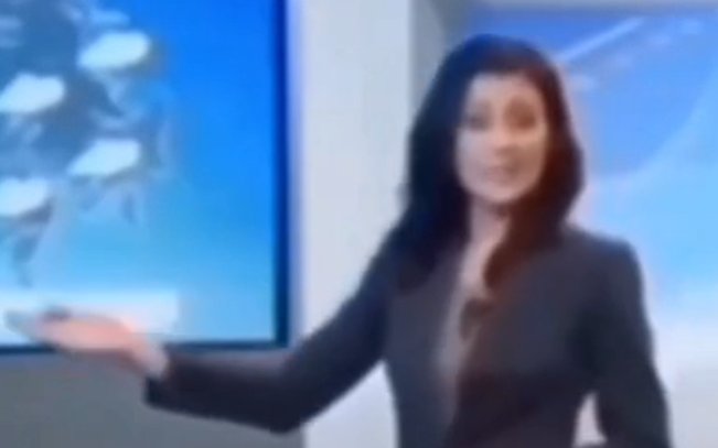 海公牛是什么梗？