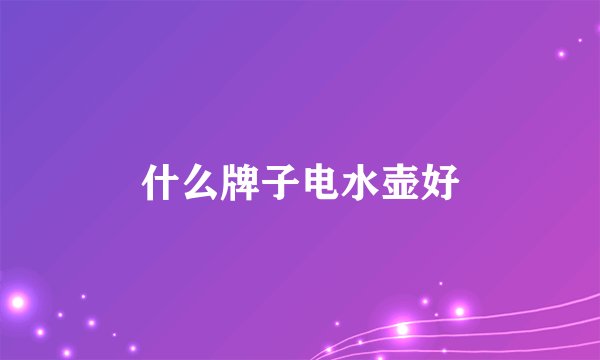什么牌子电水壶好