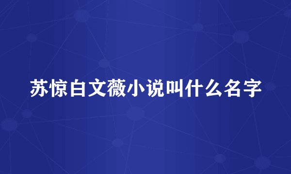 苏惊白文薇小说叫什么名字
