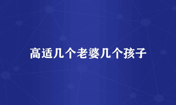 高适几个老婆几个孩子