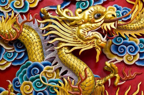 一衣带水打个生肖