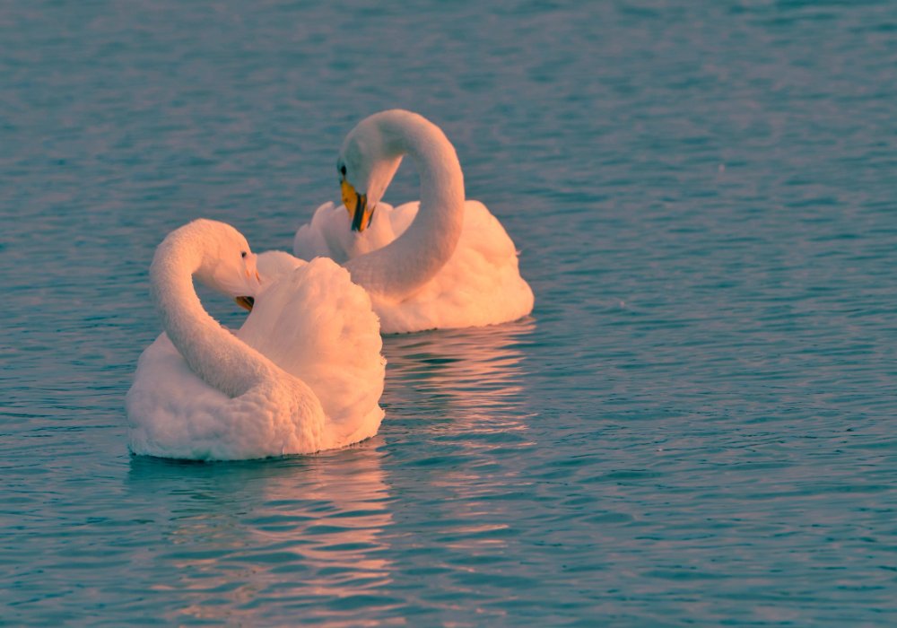 普者黑旅游攻略必去景点