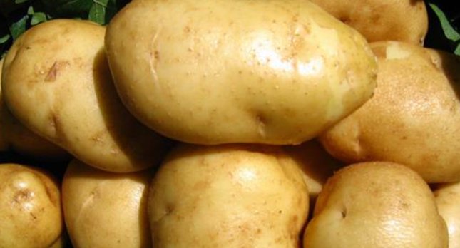 山西忻州十大特产