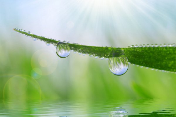 沾的拼音是什么？