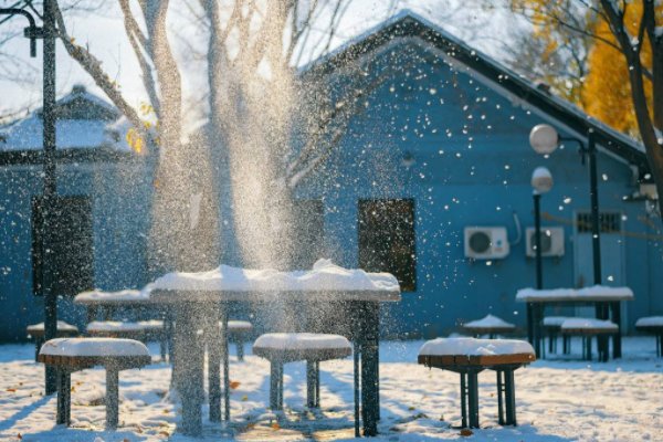 未若柳絮因风起是什么意思啊？