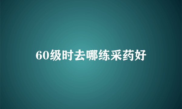 60级时去哪练采药好