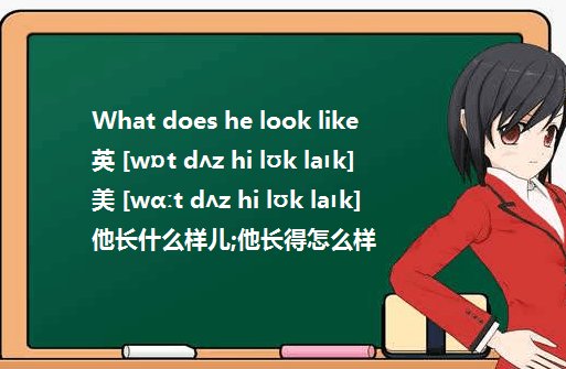 what does he look like和what is he like有何不同？