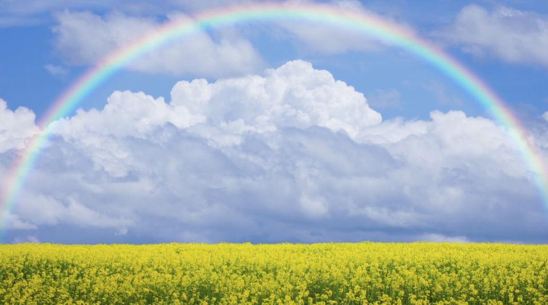 明媚的阳光写一段话