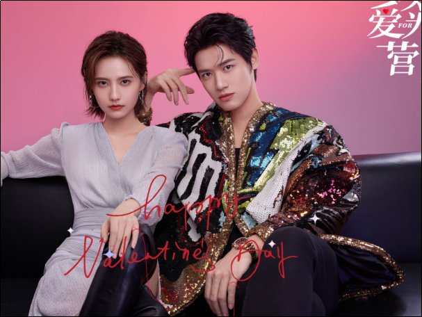 以爱为营哪个电视台播出