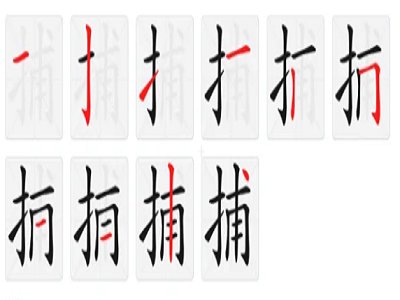 捕的笔画顺序