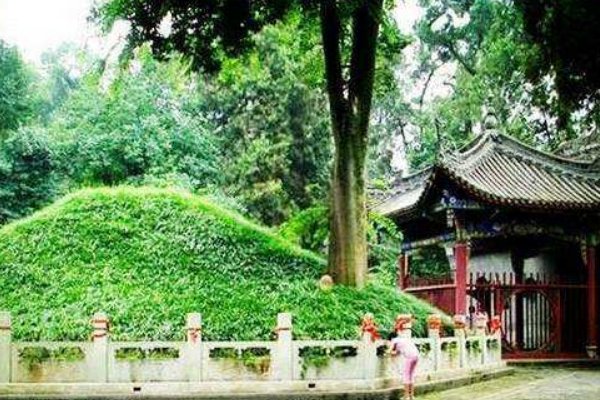 坟头长树好不好?