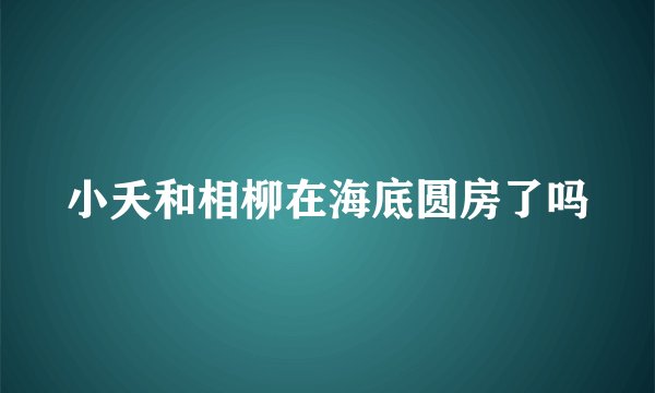 小夭和相柳在海底圆房了吗