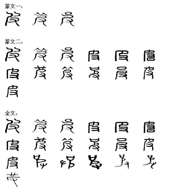 皮是左右结构吗？