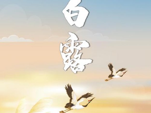 玄鸟归是什么节气