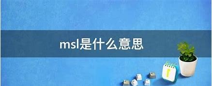msl是什么