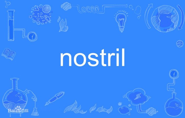 nostril是什么意思啊