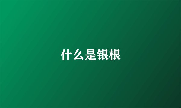 什么是银根