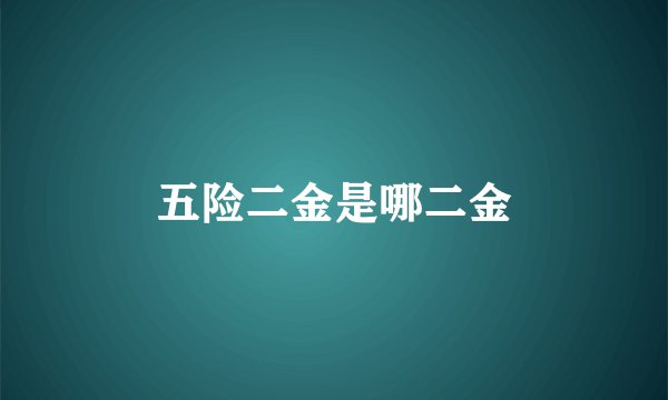 五险二金是哪二金